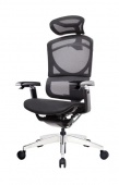 Премиум эргономичное кресло GT Chair Isee X