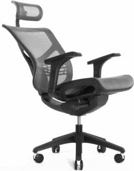 Эргономичное компьютерное кресло Expert Vista