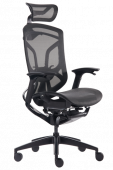 Премиум эргономичное кресло GT Chair Dvary X